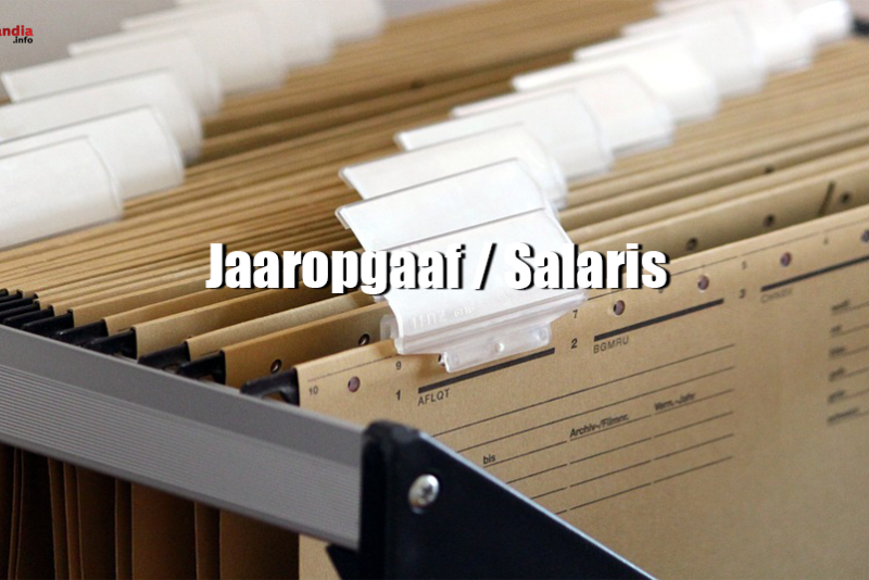Jaaropgaaf / Salaris Baza wiedzy